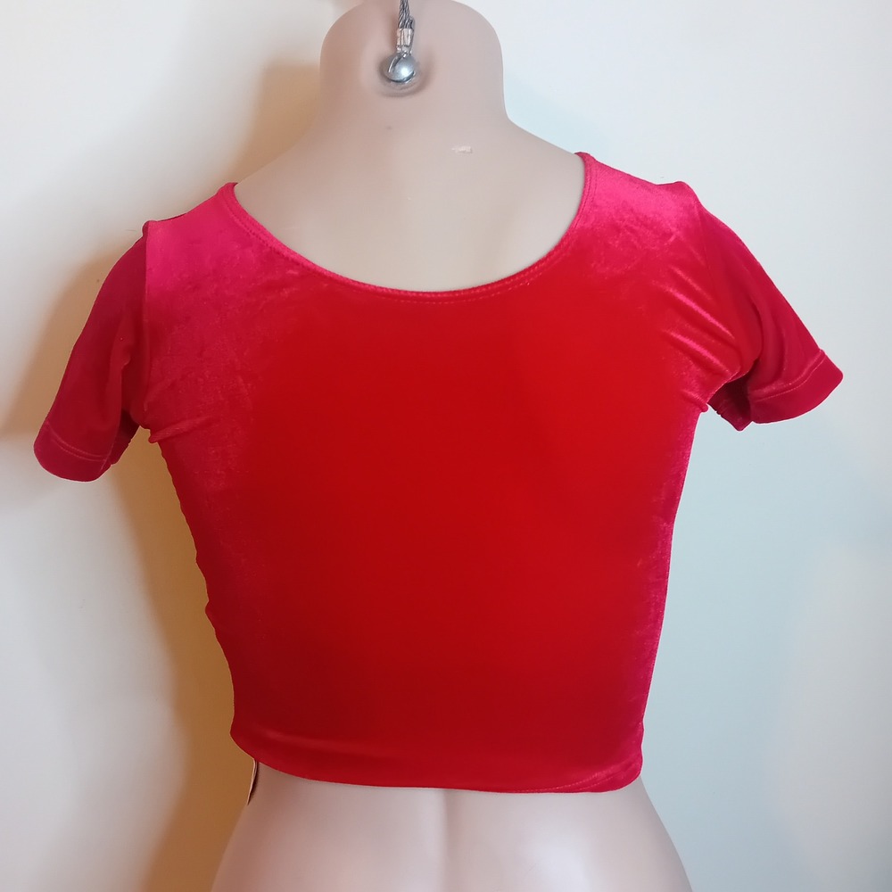 NWT Y2K American Apparel Velvet Crop Top Short Sleeve Tee Shirt Bloody Red‎ XS - Picture 5 of 16